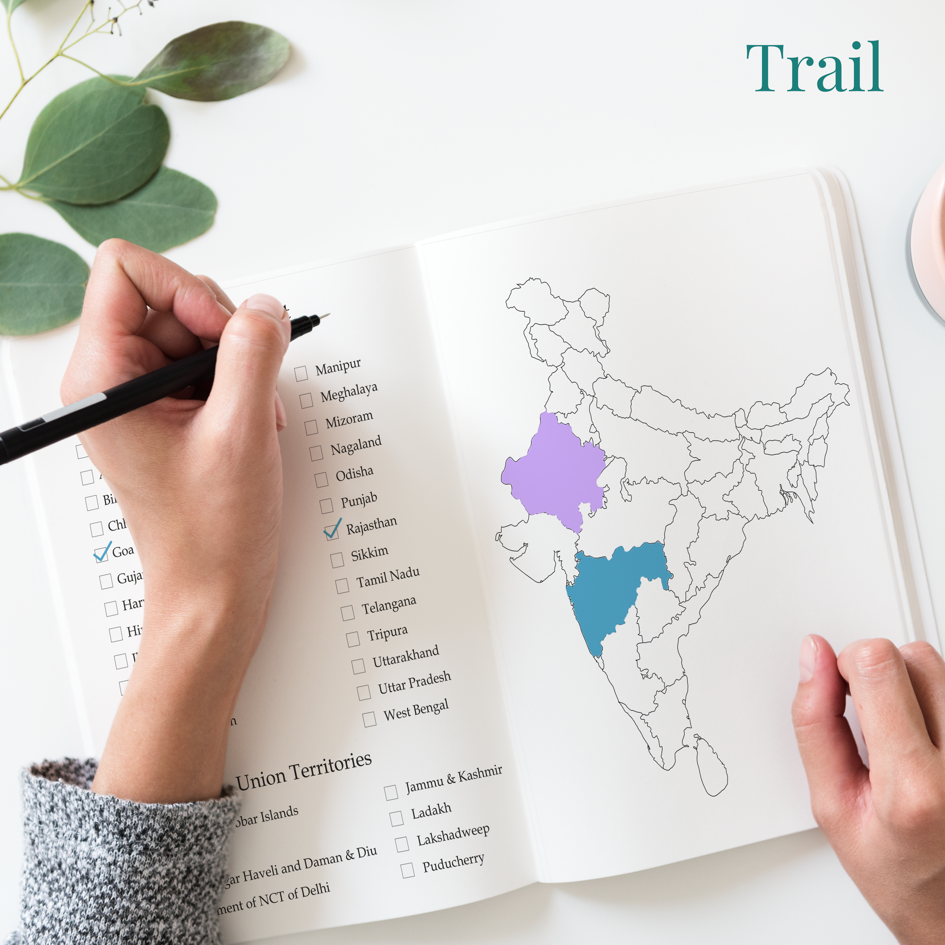 India Travel Journal