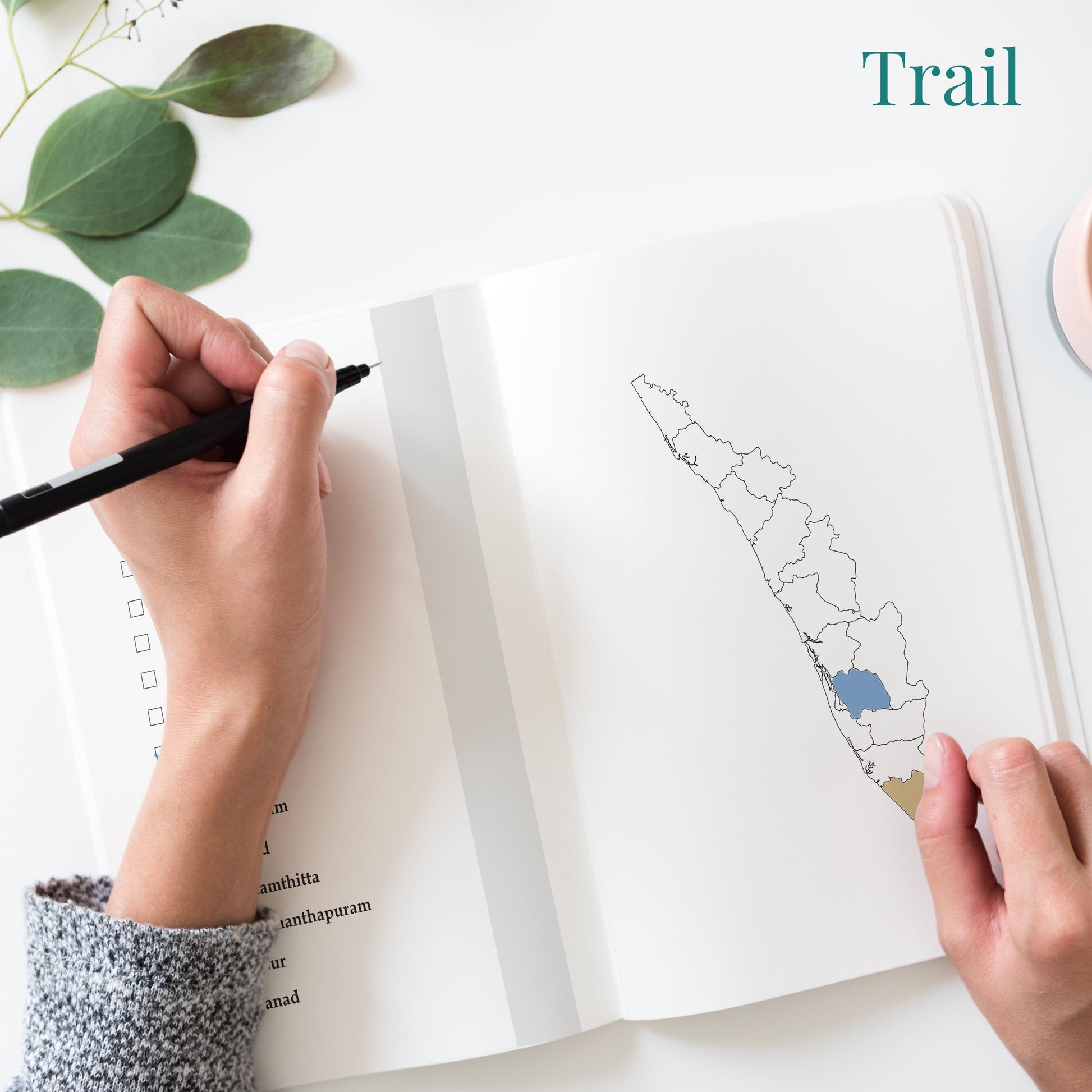 Kerala Travel Journal