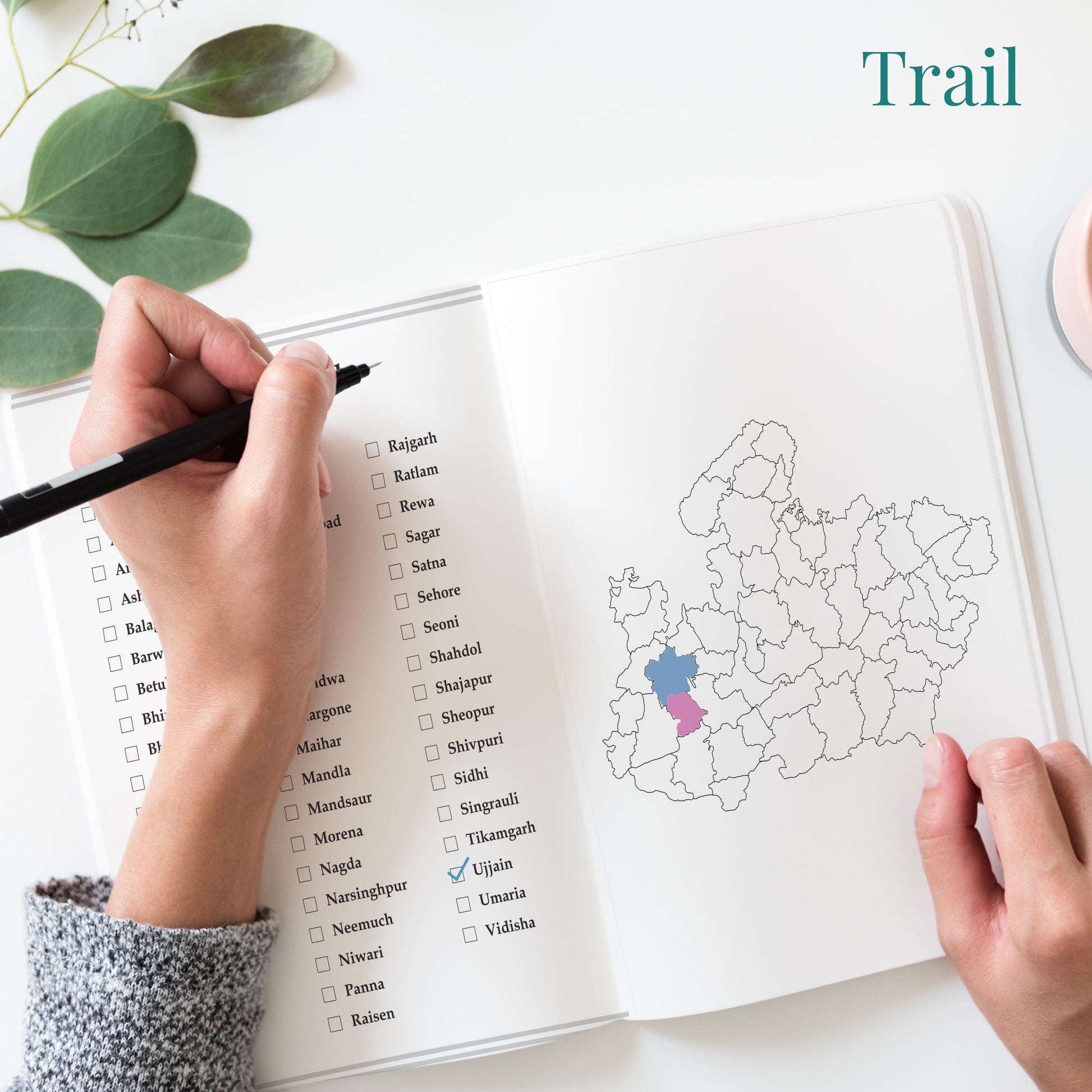 Madhya Pradesh Travel Journal