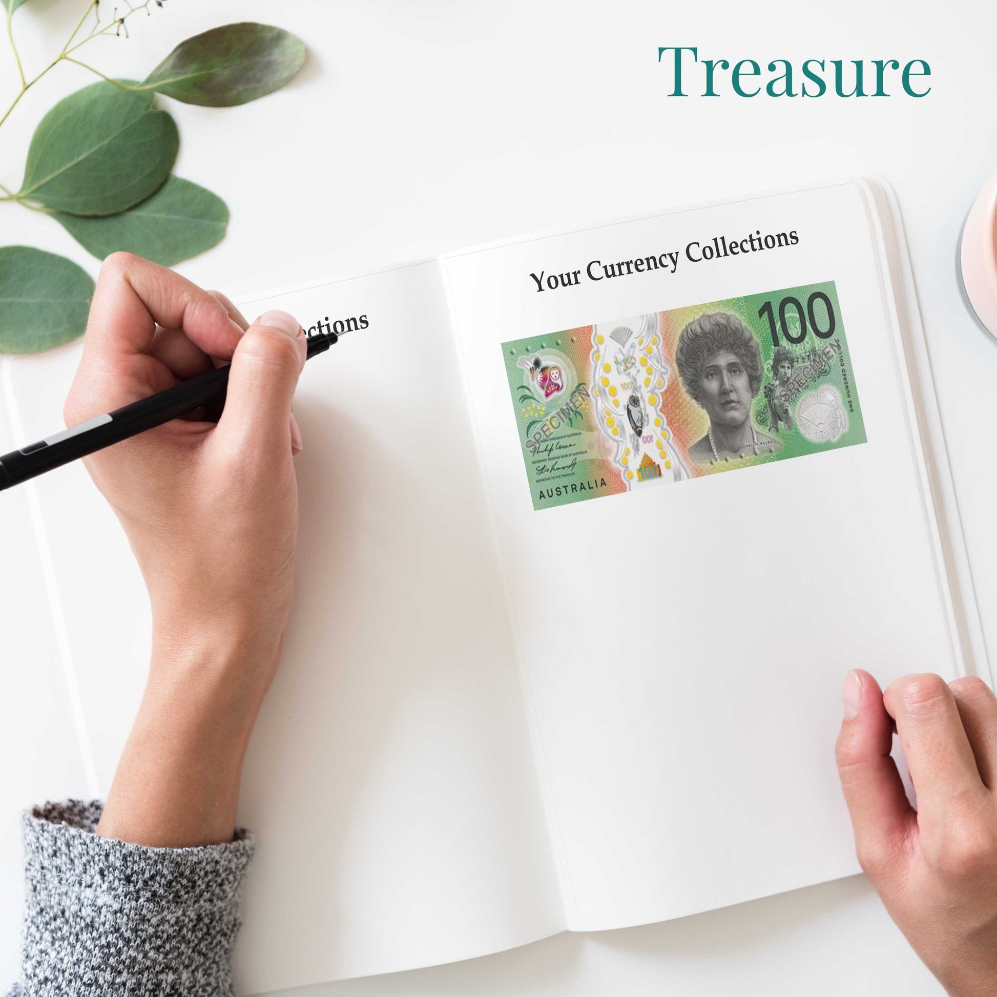 Oceania Travel Journal