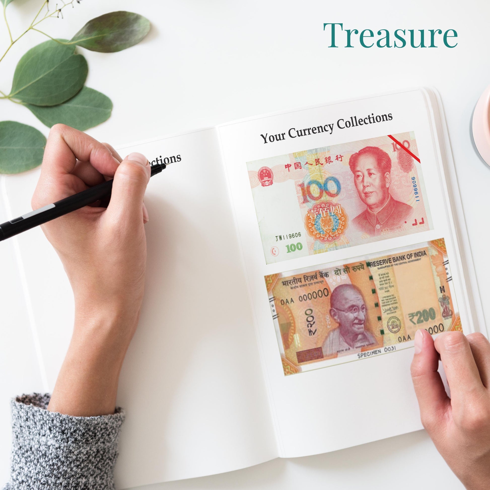 World Travel Journal